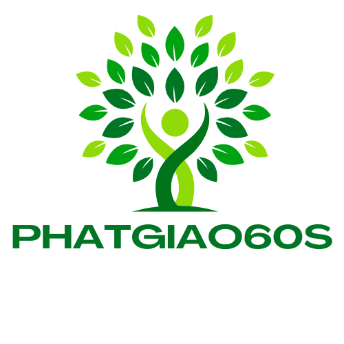 phatgiao60s.com